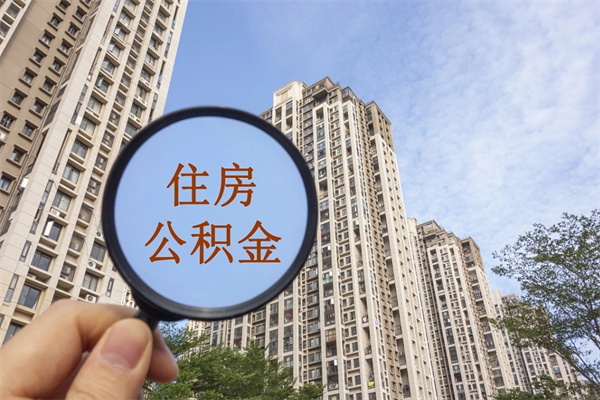 灌云深圳公积金（深圳公积金首页）